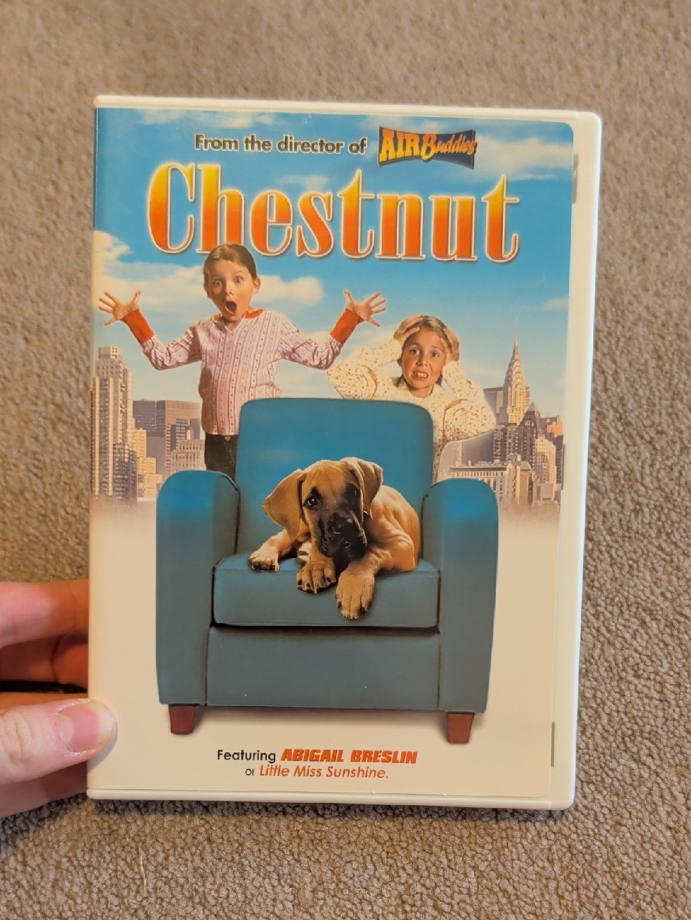 💜 5/$20 Chestnut DVD Cover Featuring‎ Puppy on Blue Chair